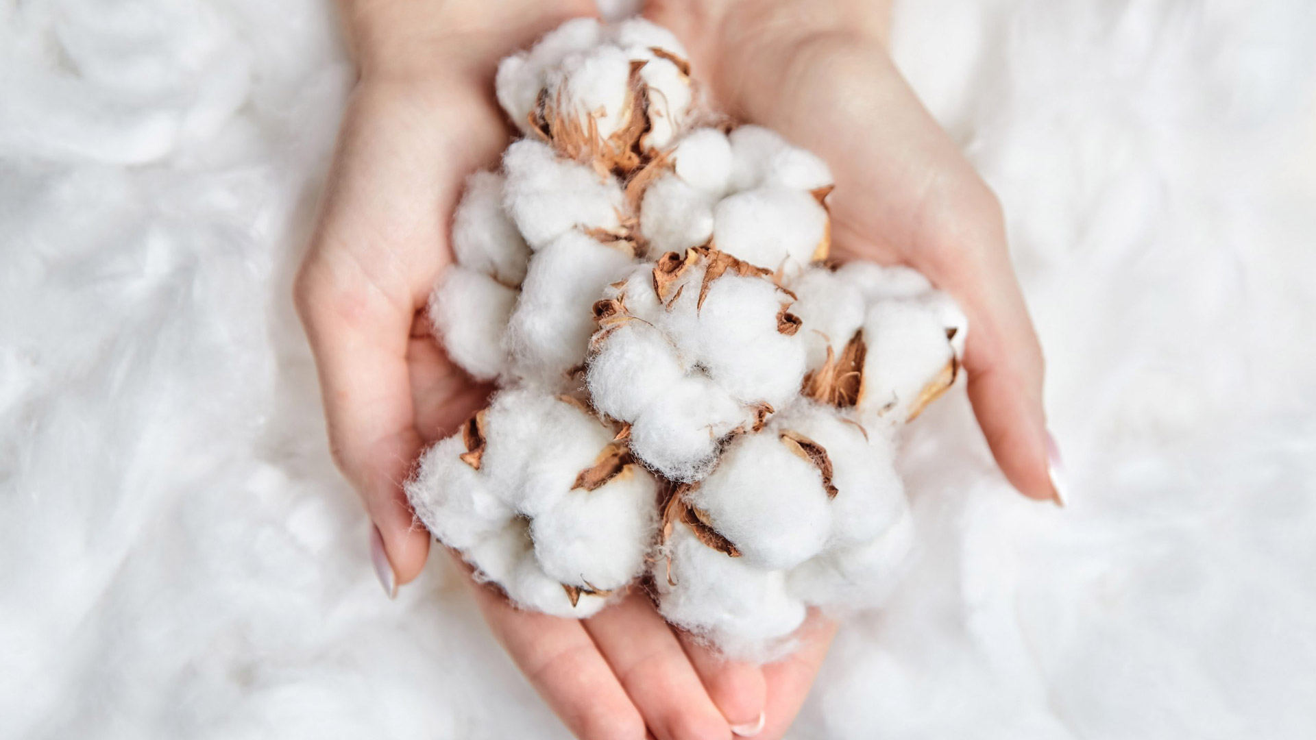 By choosing eco-friendly cotton products, consumers can support sustainable agriculture, reduce exposure to harmful chemicals, and contribute to the preservation of biodiversity and ecosystems. Additionally, eco-friendly cotton initiatives often promote social welfare by empowering farmers and supporting local communities.